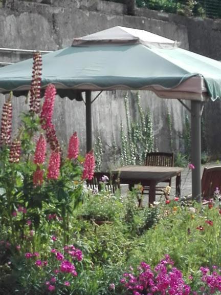 La Torretta Bed & Breakfast Torriglia Exterior photo