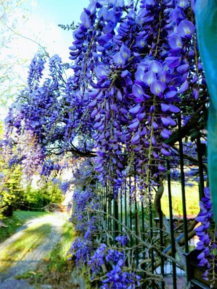 La Torretta Bed & Breakfast Bed & Breakfast Torriglia Exterior photo